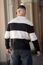 Чоловічий светр поло у смужку Polo Sweater бежевий з коричневим Teamv 8034593 фото №6