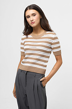 Hellbrauner Damenpullover Sewel 4038611 Foto №1