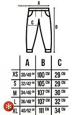 Теплые спортивные штаны джоггеры на флисе Custom Wear 8025624 фото №6