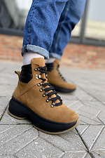 Women's winter boots in sports style on a massive platform  4205639 photo №4