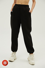 Утеплені спортивні штани КАМАLА на флісі у чорному кольорі з манжетами Garne 3039734 фото №1