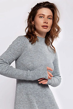 Women's Winter Knitted Midi Dress in Gray  4038766 photo №4