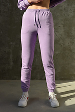 Велюровые спортивные штаны на манжетах с вышивкой GARD 8011766 фото №1