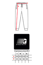 Велюровые спортивные штаны на манжетах с вышивкой GARD 8011766 фото №5
