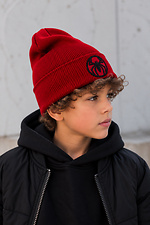 Дитяча Демісезонна Шапка Для Хлопчика Without Shovel Spider Man Logo Red Without 8056768 фото №2