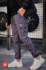 Утепленные спортивные штаны карго на флисе с большими карманами Without 8048867 фото №1