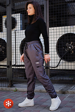 Утепленные спортивные штаны карго на флисе с большими карманами Without 8048868 фото №2
