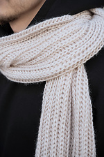 Чоловічий Теплий В'язаний Шарф  Carry Beige Without 8055914 photo №4