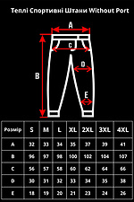Чоловічі Теплі Флісові Спортивні Штани Джогери Port Gray Without 8055976 фото №9