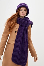 Об'ємний теплий комплект на зиму: шапка, шарф  4037983 фото №1
