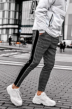 Gray Checked Skinny Chinos with Black Stripes GRUF 8042996 photo №1